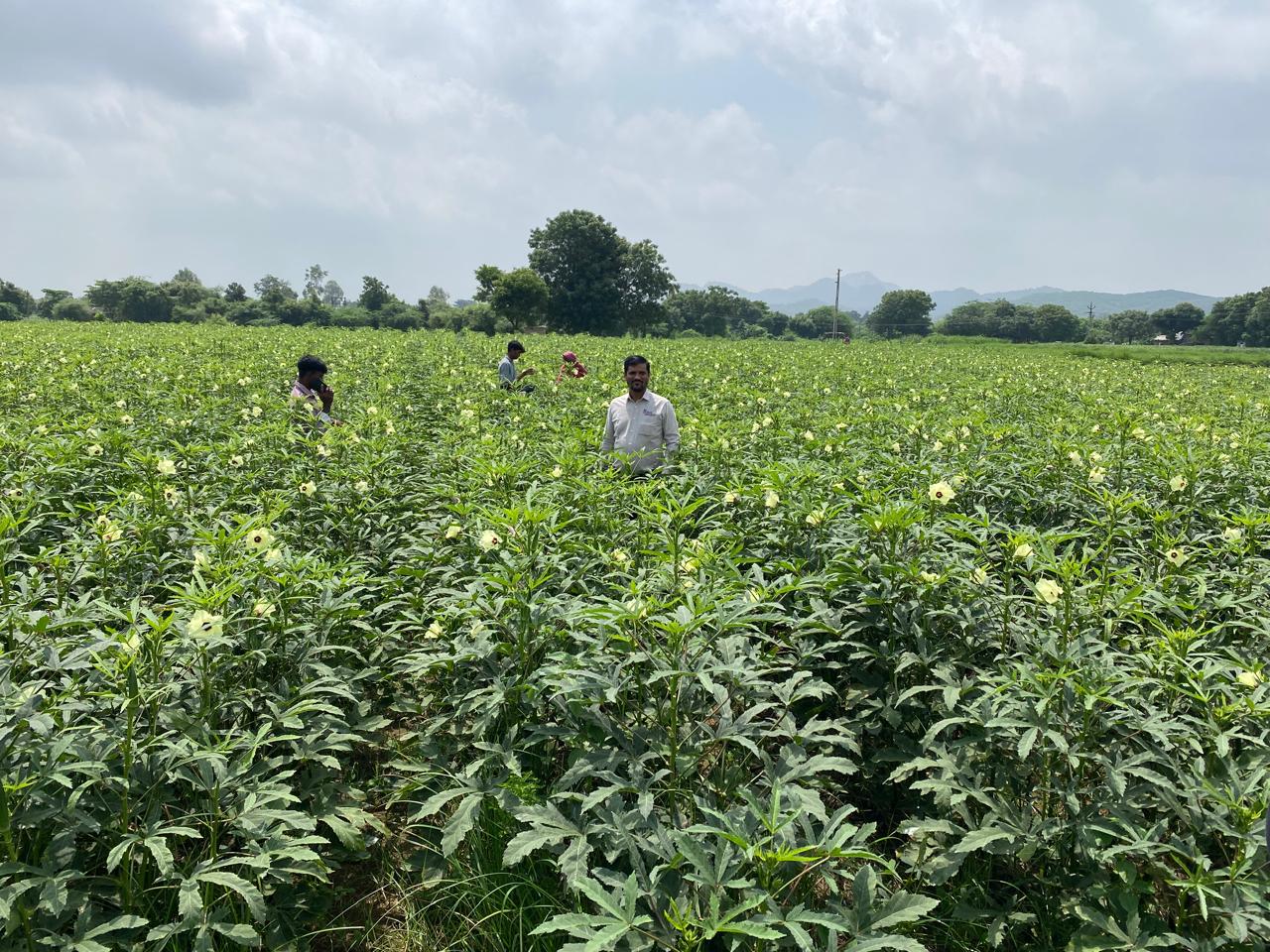 Farmers and agriculture coordinators inspecting produce on field.