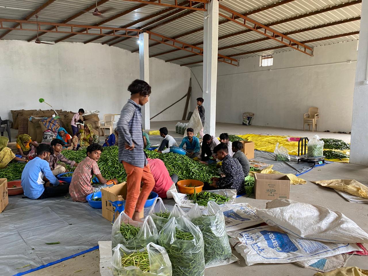 Mid-day meal and nutrition support for school children.
